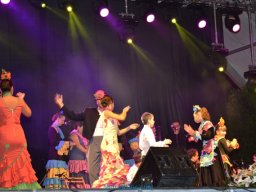 Festival de Folkore en Mula